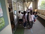 DSC00093.jpg