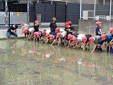 DSC00504.jpg