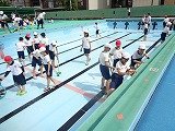 DSC00373.jpg
