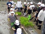 DSC00488.jpg