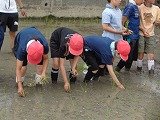 DSC00499.jpg