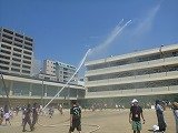 P1110028.jpg