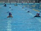 P1120005.jpg