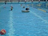P1120009.jpg