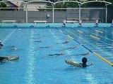 P1120011.jpg