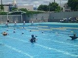 P1120014.jpg