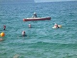 P1120110.jpg