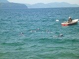 P1120125.jpg