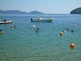 P1120212.jpg