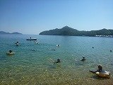 P1120220.jpg