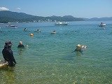 P1120224.jpg