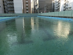 氷.jpg