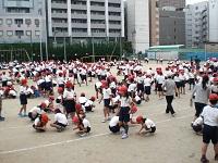 石拾い（紅）.JPG