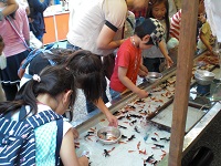 20160520 垂水神社祭り③.JPG