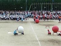 15 全校競技.JPG