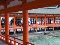 厳島神社.JPG