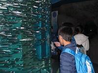 宮島水族館.JPG