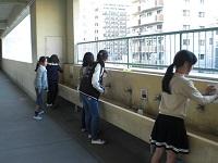 ★20161107　環境委員会.JPG