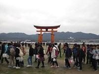 鳥居.JPG