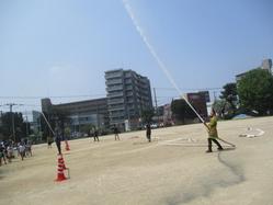 IMG_0007.JPG