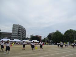 IMG_0052.JPG