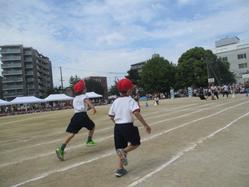 IMG_0035.JPG