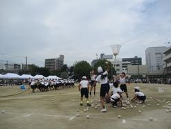 IMG_0057.JPG