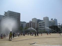 IMG_0010.JPG