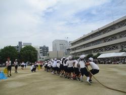 IMG_0056.JPG