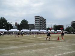 IMG_0051.JPG