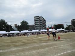 IMG_0050.JPG