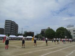 IMG_0043.JPG