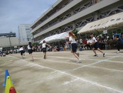IMG_0046.JPG