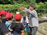 画像 -20250527-000836-41170a76.jpg