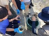 IMG_2559.jpg