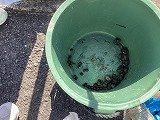 IMG_2571.jpg