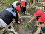 画像 -20250527-001445-1fe0da03.jpg
