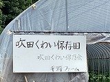 画像 -20250527-003131-27e359c6.jpg