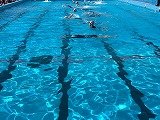 IMG_2541.jpg
