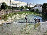 IMG_2550.jpg