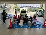 画像 -20250523-015849-4fb9ce1b.jpg