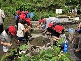 画像 -20250527-002013-f48feedf.jpg