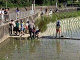 IMG_2552.jpg