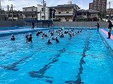 IMG_2537.jpg
