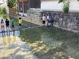 IMG_2547.jpg