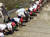 IMG_2470.jpg