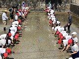 IMG_2459.jpg