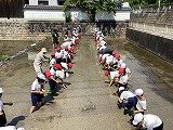 IMG_2450.jpg