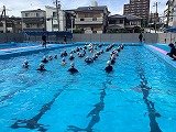 IMG_2533.jpg