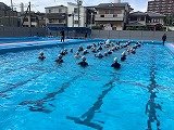 IMG_2534.jpg